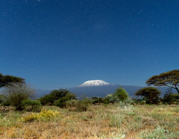 8 Days Climbing Mt Kilimanjaro via Lemosho Route